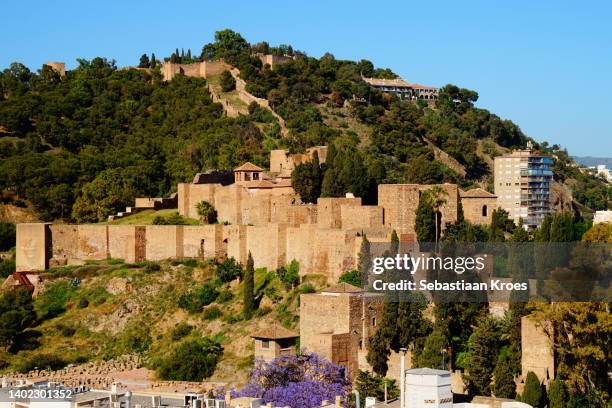 hill with alcabaza palace with walls, malaga, spain - alcazaba of málaga stock pictures, royalty-free photos & images