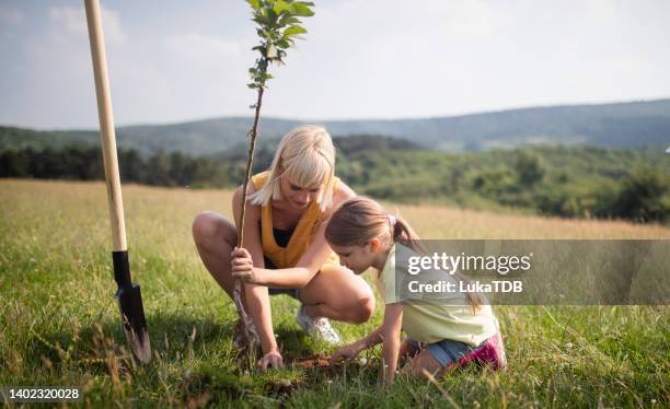 ein süßes kleines mädchen und ihre tante pflanzen einen baum in der natur. - einpflanzen stock-fotos und bilder