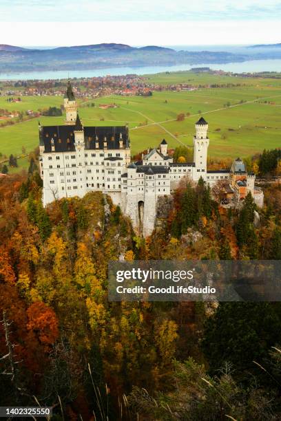 neuschwanstein castle - schwangau stockfoto's en -beelden