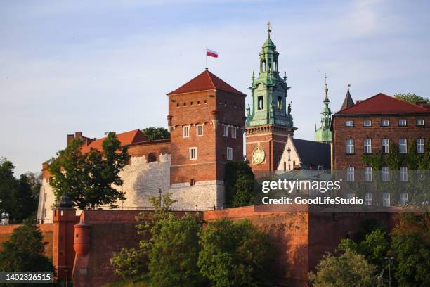 wawel royal castle - wawel castle stock pictures, royalty-free photos & images