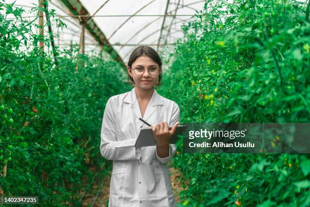 portrait of a female scientist inspecting plants growing in greenhouse - quality control inspector stock pictures, royalty-free photos & images