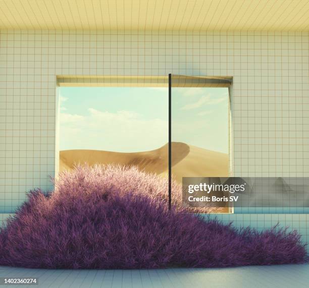 nature growing into empty house - open land stock pictures, royalty-free photos & images