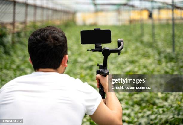 homem atirando com um smartphone conectado a um gimbal em uma estufa - diretora de filme - fotografias e filmes do acervo