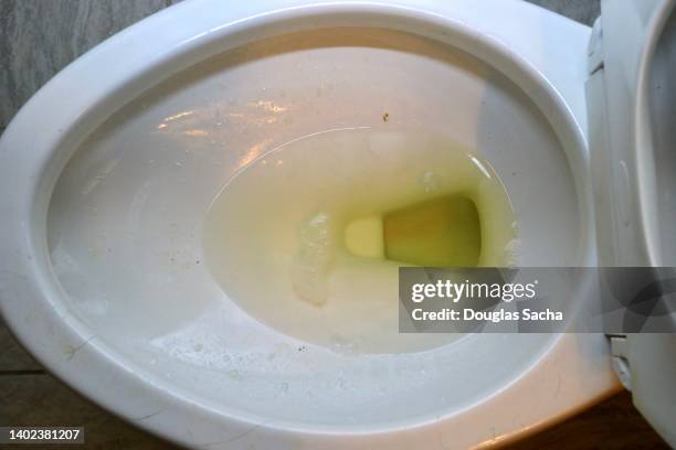 toilet bowl - dirty bathroom concept - urine stock pictures, royalty-free photos & images