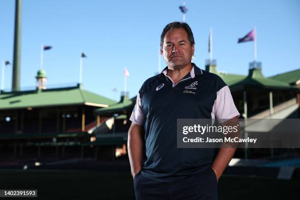 Jason Rennie 122 Jason Rennie Stock Photos, High-Res Pictures, and Images - Getty Images