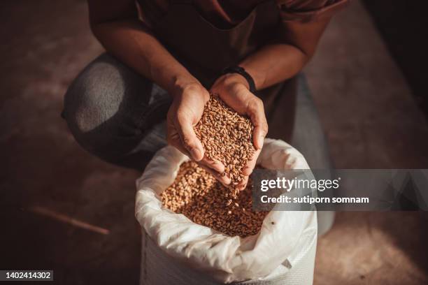 beer craft made - barley stock pictures, royalty-free photos & images