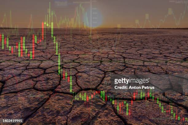 drought and crop failure. world food crisis concept - extreme weather farm stock pictures, royalty-free photos & images