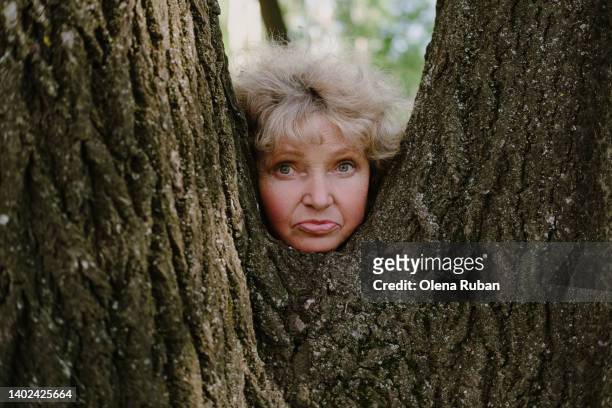 head of elderly woman between trunks of a tree. - pension ukraine stock pictures, royalty-free photos & images