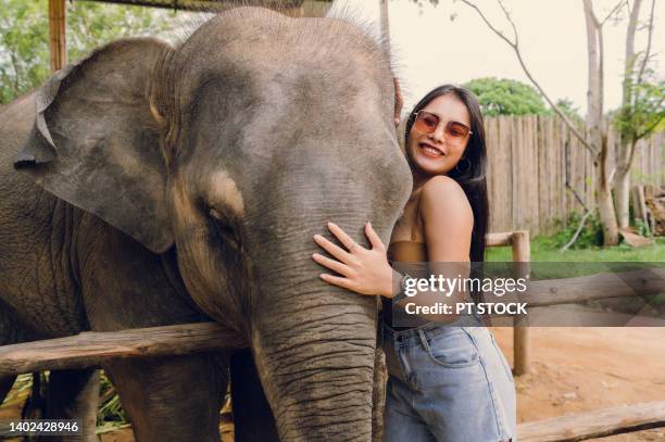 a woman happily hugs and plays with an elephant. - posh people with big teeth stock-fotos und bilder