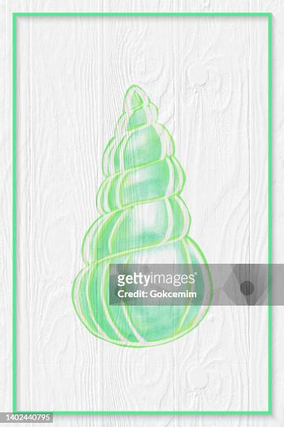 hand drawn green sea shell with white washed wood paneling background, decorative art . watercolor sea shell vector background. - oyster pearl stock illustrations