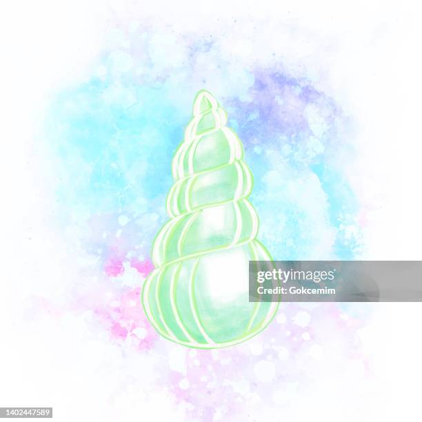hand drawn green sea shell with with watercolor spalshing background, decorative art . watercolor sea shell vector background. - scallop pattern stock illustrations