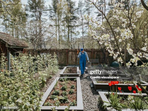 senior man working in his garden - estonia stock pictures, royalty-free photos & images