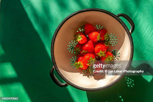 littlebourne, kent, england, uk. 2 june 2022. strawberries in a colander. - colander stockfoto's en -beelden