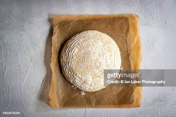 littlebourne, kent, england, uk. 3 may 2022. bread dough formed into a loaf, prior to baking. - pergamena materiale tessile foto e immagini stock
