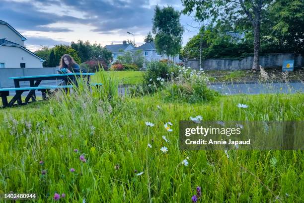 low angle view of young man with long hair sitting at a public bench in his neighborhood reading a book and relaxing, tall grass with wildflowers growing in foreground - long grass stock pictures, royalty-free photos & images