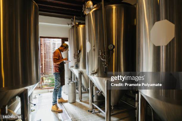 asian brewer, beer fest festival. tasting fresh brewed beer. brewer holds glass with craft beer. brewery concept. man with beer of mug. alcohol. male brewer holds glass with beer. barman. brewer. - microbrewery stock pictures, royalty-free photos & images