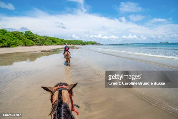 cavalgando em tamarindo, costa rica - playa tamarindo - fotografias e filmes do acervo
