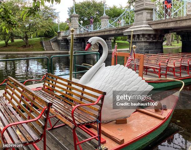 schwanenboot auf dem boston public garden, boston, massachusetts - öffentlicher garten von boston stock-fotos und bilder