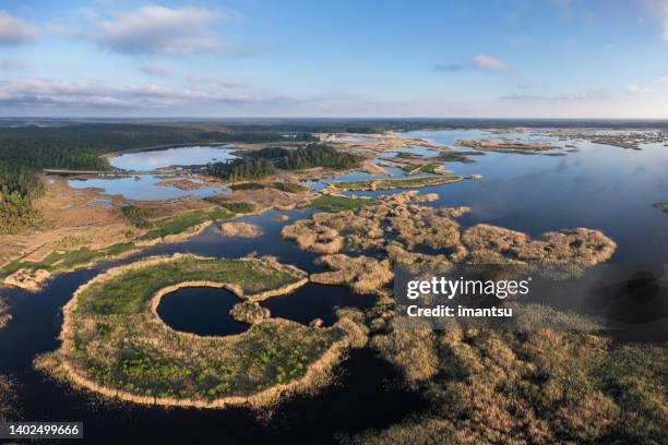 lake kanieris in at lapmezciems, in kurzeme, latvia - latvia 個照片及圖片檔