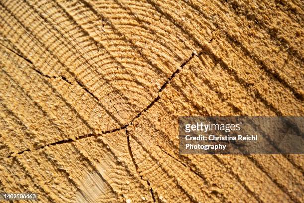 rustic weathered wood lo - hartholz stock-fotos und bilder