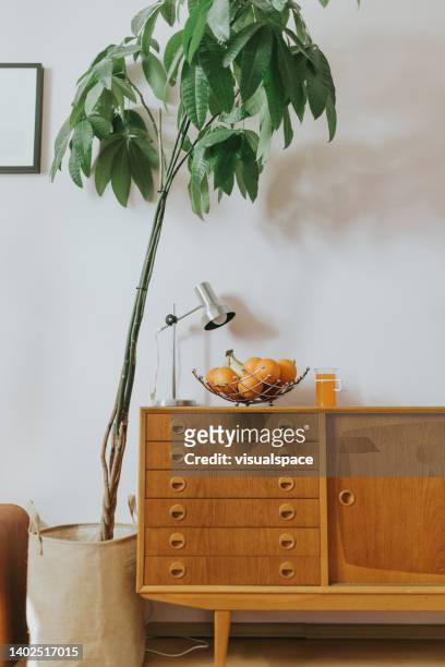 bol de fruits frais à l’intérieur de la maison - teak wood material photos et images de collection
