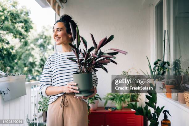 frau mit einer pflanze - frau balkon stock-fotos und bilder