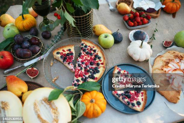 beautifully served autumn table in nature. table setting. - party pies imagens e fotografias de stock