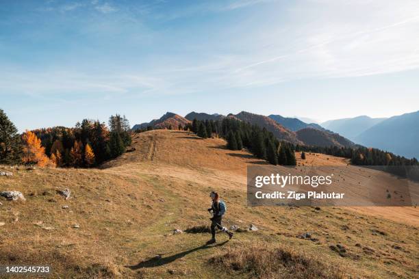 scenic autumn mountains and woman mountaineer - snap imagens e fotografias de stock