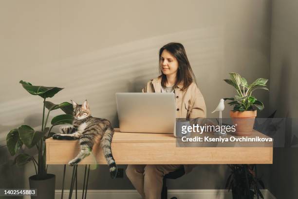 woman glasses coffee with a confident happy look open laptop business cat yellow office sweater - open laptop on desk stock-fotos und bilder
