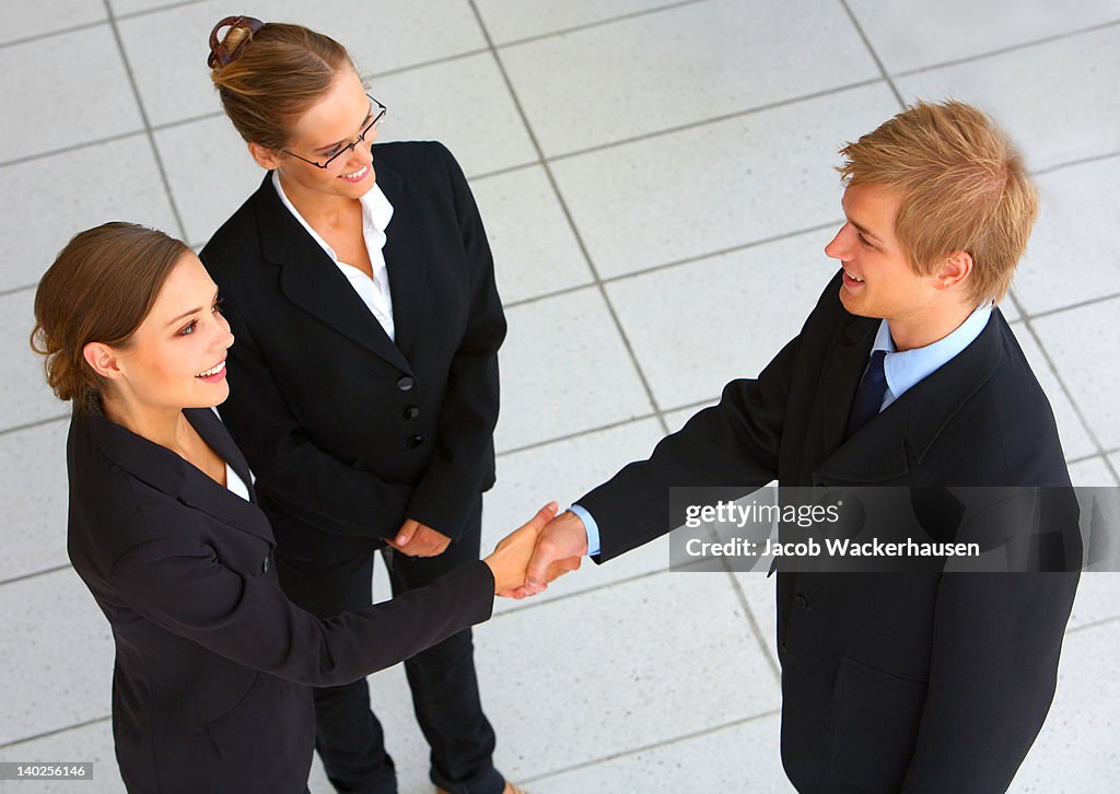 Business team wrapping up a meeting with handshake