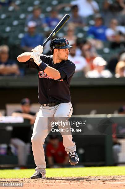 Luke Maile of the Cleveland Guardians bats against the Baltimore Orioles at Oriole Park at Camden Yards on June 05, 2022 in Baltimore, Maryland.