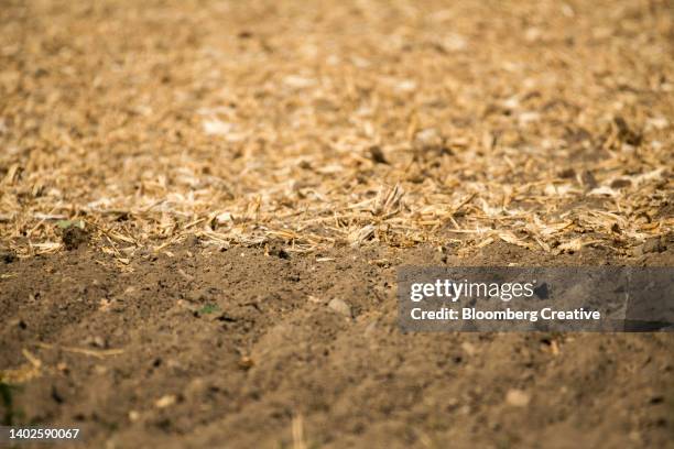 a dry field - försummad mark bildbanksfoton och bilder