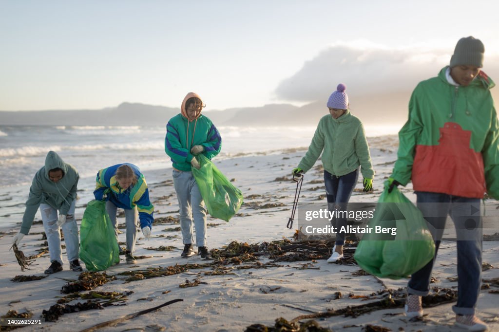 Group of young people cleaning rubbish from a beach