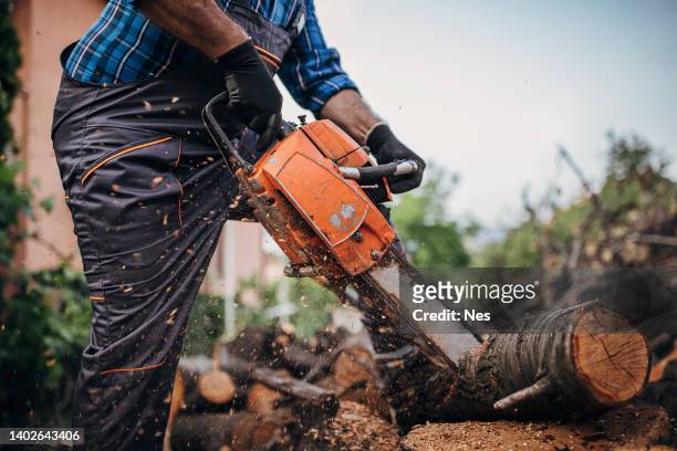 un hombre corta madera con una motosierra, prepara leña - leña fotografías e imágenes de stock