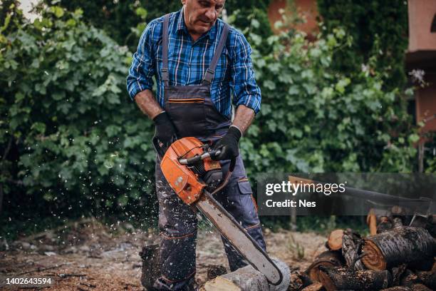 cutting wood with a chainsaw - skogshuggare bildbanksfoton och bilder