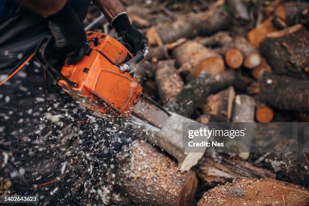 a man cuts wood with a chainsaw, prepares firewood - sawing stock pictures, royalty-free photos & images