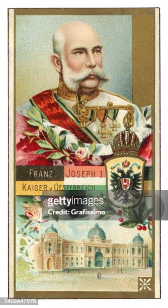 kaiser von österreich franz joseph i. porträt jugendstilillustration - könig königliche persönlichkeit stock-grafiken, -clipart, -cartoons und -symbole