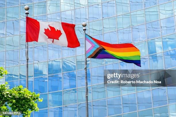 transgender pride flag - pride flag stock pictures, royalty-free photos & images