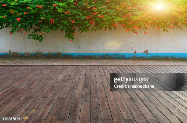 lush blooming critters planted on white wall in park, wooden floor plaza and walkway - wooden floor outdoor stock pictures, royalty-free photos & images