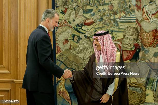 King Felipe VI greets the Minister of Foreign Affairs of the Kingdom of Saudi Arabia, Prince Faisal Bin Farhan Al Saud , at the Royal Palace, on 13...