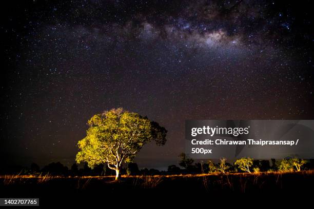 trees on field against sky at night,thailand - sul bordo - fotografias e filmes do acervo