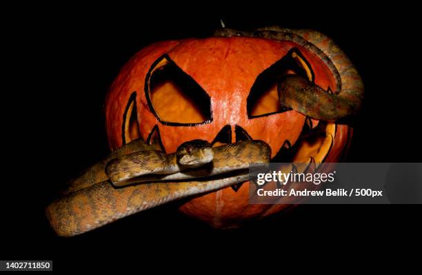 close-up of jack o lantern against black background - andrew eldritch stock-fotos und bilder