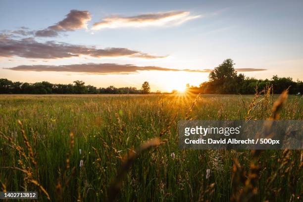 scenic view of field against sky during sunset,olomouc,czech republic - czech republic landscape stock pictures, royalty-free photos & images