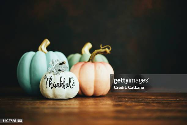 thanksgiving and fall still life arrangement with thankful pumpkin n moody setting - miniature pumpkin stock pictures, royalty-free photos & images