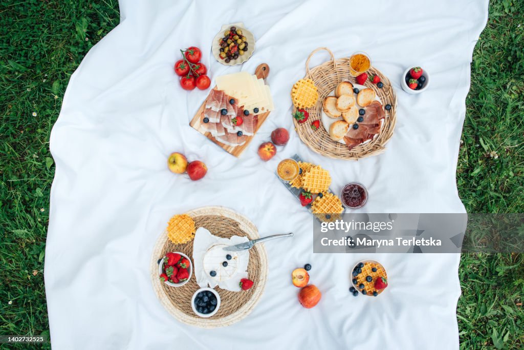 Picnic with tasty and healthy food in nature. Nicely served picnic. Food in nature. Fruits, vegetables, cheese, jamon and croutons for a picnic. Spending time outdoors. A white tablecloth or bedspread on the grass. Top view of a picnic.
