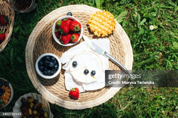 picnic with tasty and healthy food in nature. nicely served picnic. food in nature. fruits, vegetables, cheese, jamon and croutons for a picnic. spending time outdoors. a white tablecloth or bedspread on the grass. top view of a picnic. - cheese and champagne stock pictures, royalty-free photos & images