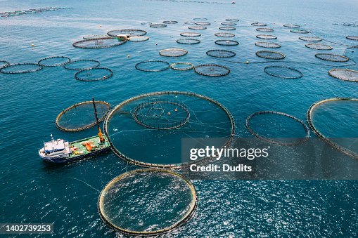 ドローンビュー海の魚の農場 ドローンビュー海の魚の農場