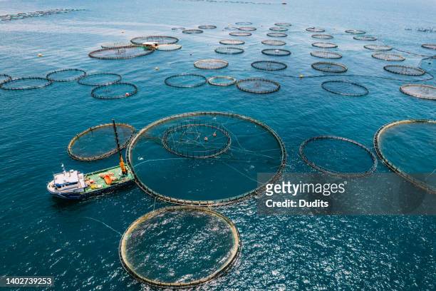 drone view fish farms in the sea - fishing boats stockfoto's en -beelden