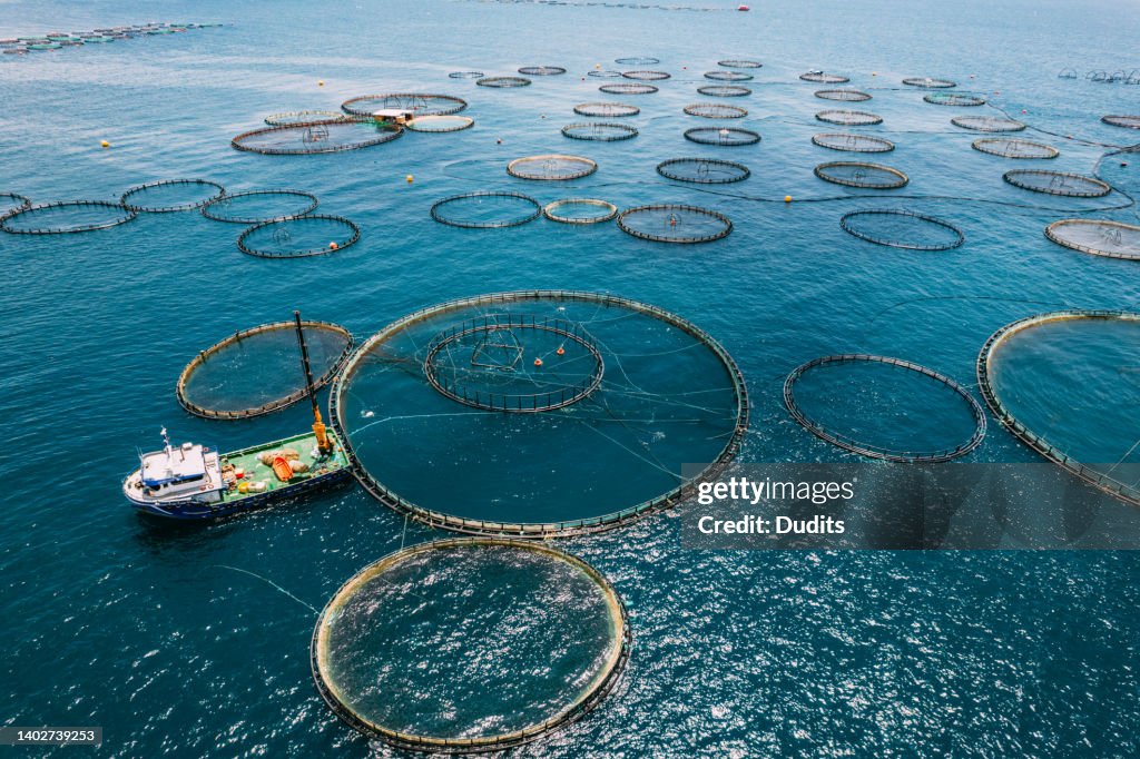 Drone View Fish Farms in the Sea