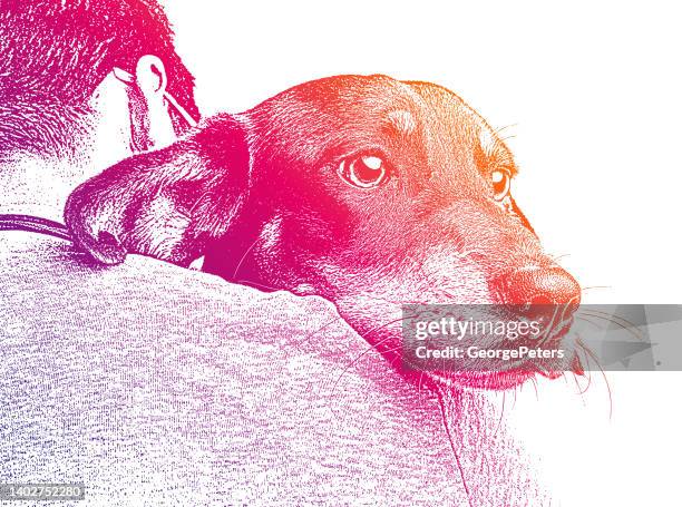 964点の保護犬イラスト素材 Getty Images 964点の保護犬イラスト素材 Getty Images